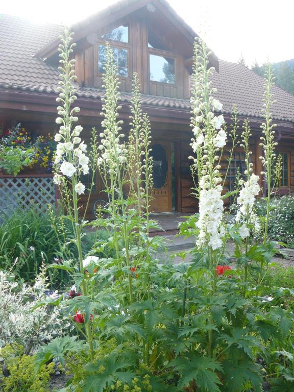 Hitching Post Resort Kelowna Bilik gambar