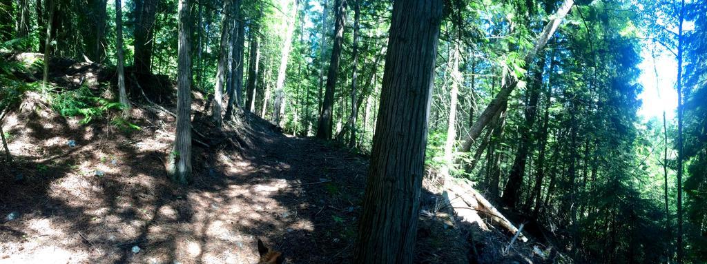 Hitching Post Resort Kelowna Luaran gambar